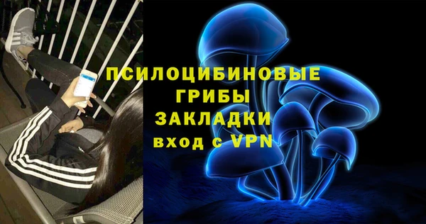 трава Арсеньев