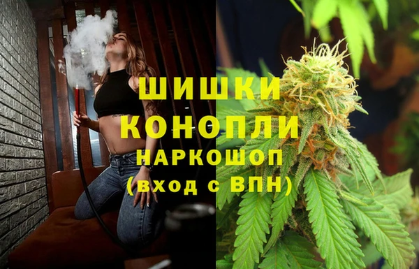 трава Арсеньев