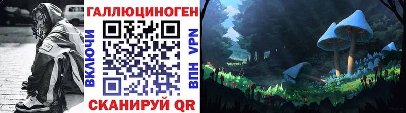 Псилоцибиновые грибы Psilocybine cubensis  mega tor  Онега 